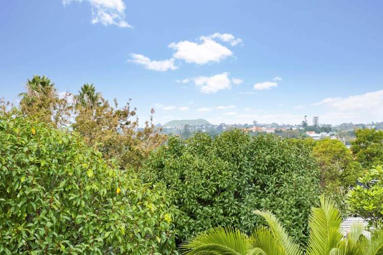 3/69 Saint Stephens Avenue Parnell_12