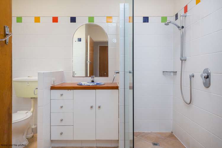 4a Anglesea Street Renwick_9