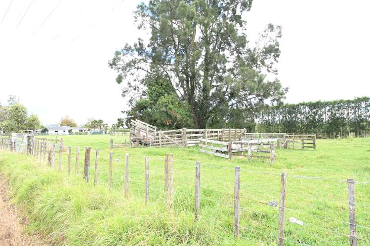 94 Burness Road Meeanee_18