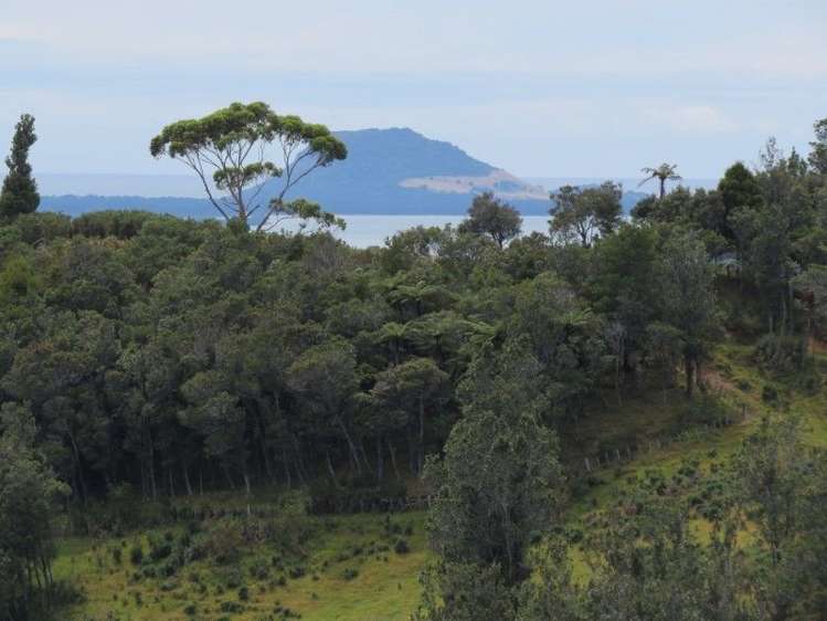 764 Work Road Whakamarama_17