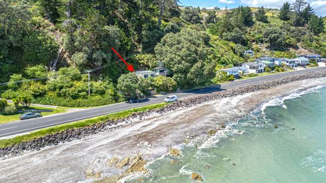 824 Thames Coast Road Te Mata_1