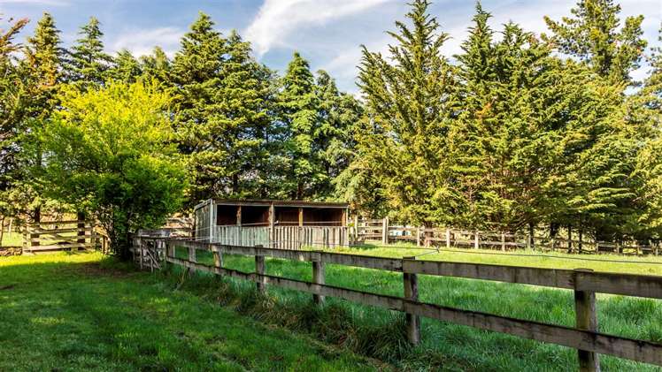 493 Loburn Whiterock Road Loburn_19