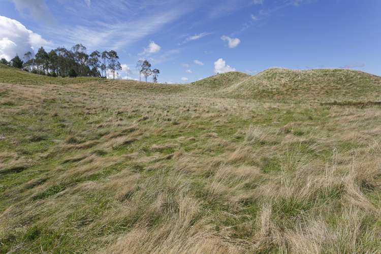 459 Otake Road Marotiri_7