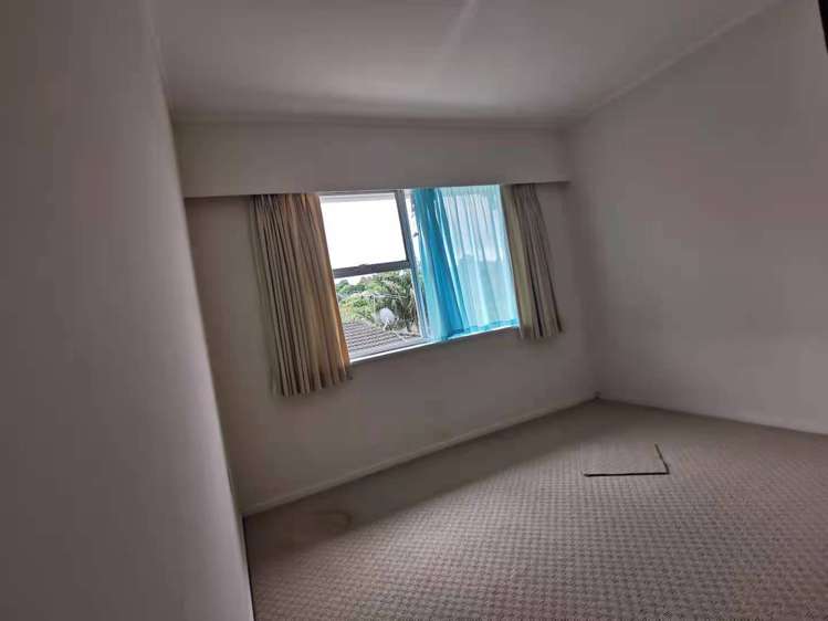 59 Sheridan Drive New Lynn_12