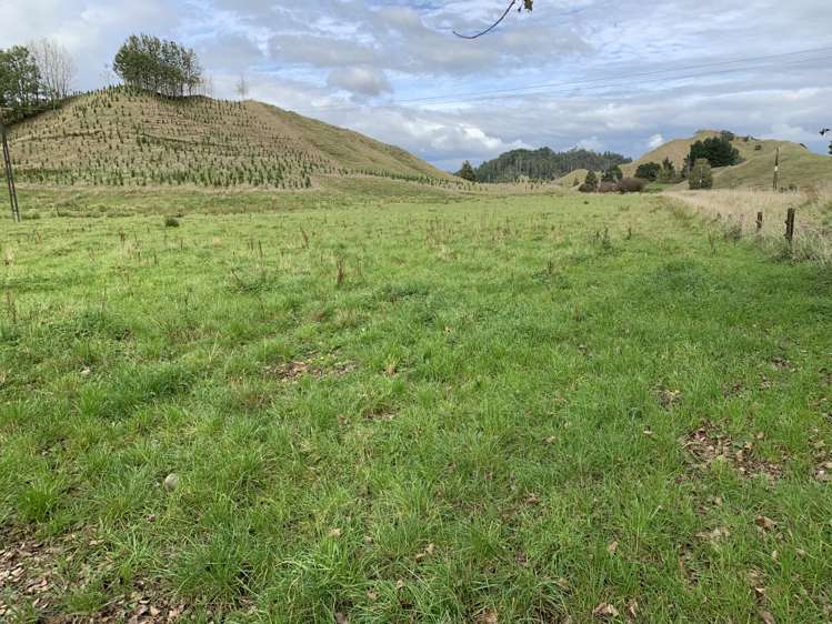 138 Quarry Road Stratford_4