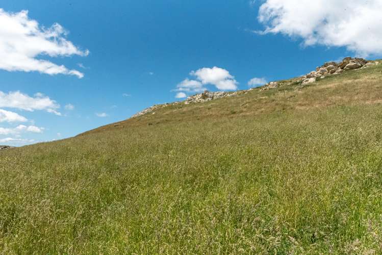 136 Mcraes Road Waikari_11