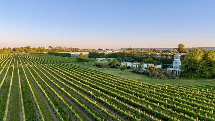 2124 State Highway 1 Spring Creek_33