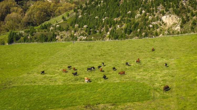 888 Kakariki Farm Road_3