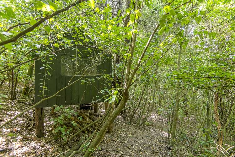 42 Zephyr Terrace Governors Bay_20