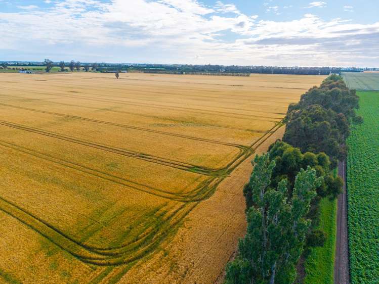 215 Falvey Road Levels_7