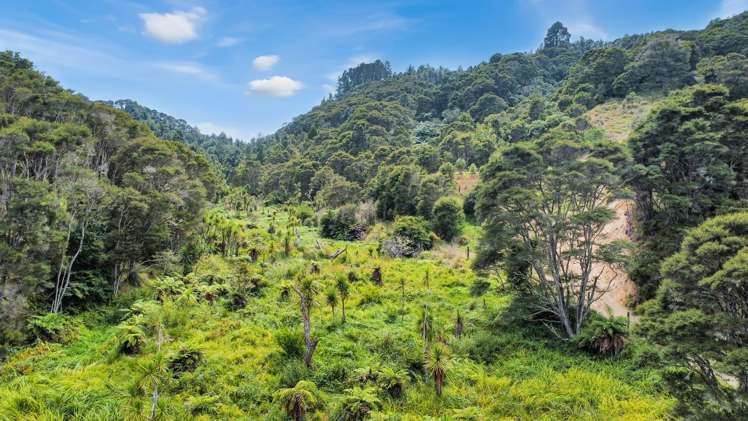 791B White Pine Bush Road Awakeri_43