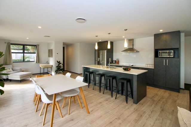 11B Ballance Street Kihikihi_4