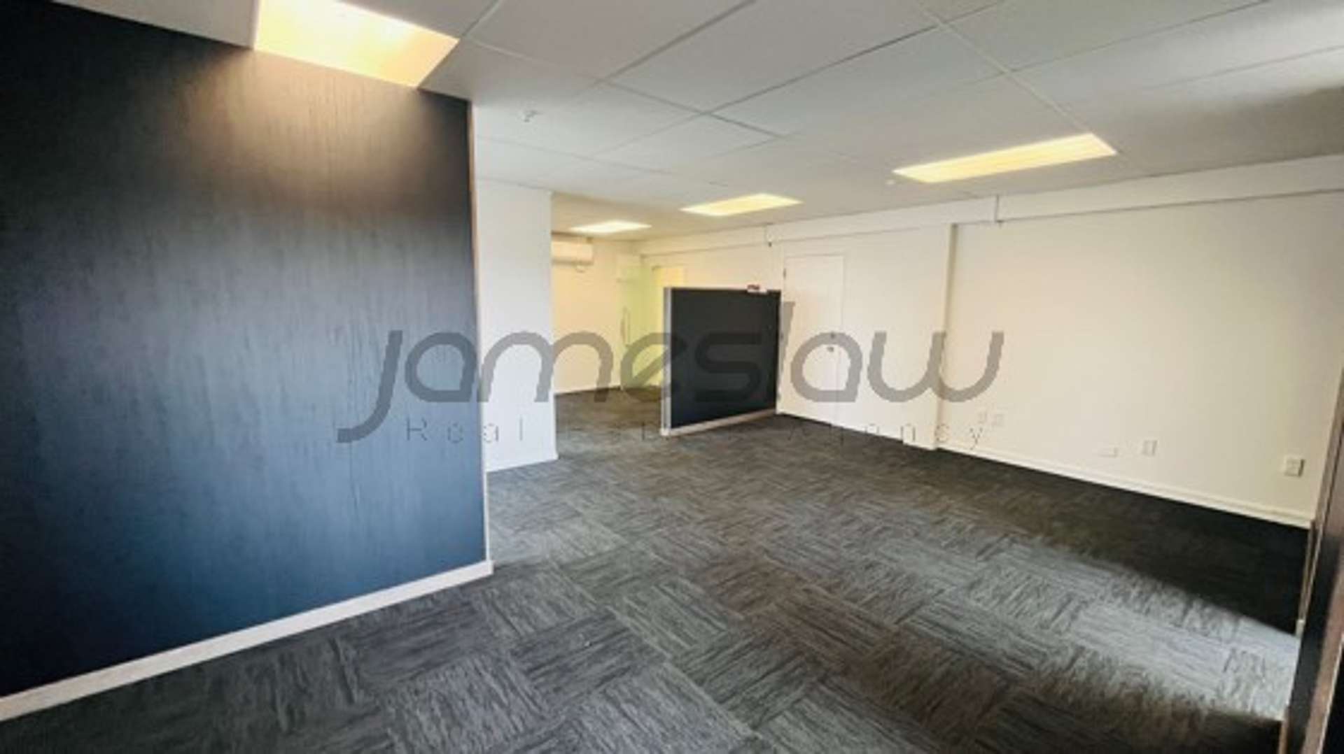 Level 3 - Tenancy C/272 Parnell Road Parnell_0