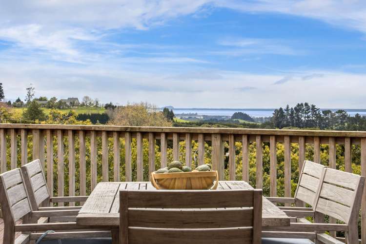 311 Wainui South Road Whakamarama_5