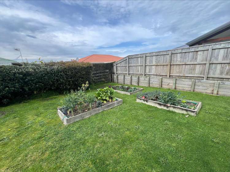 133 Fitzherbert Avenue Tawhero_18