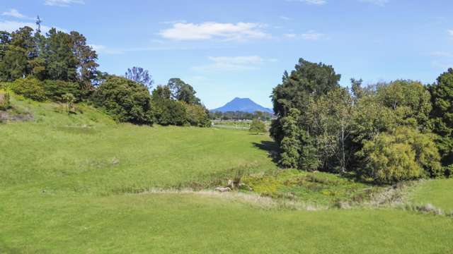 1483 State Highway 30 Awakeri_4