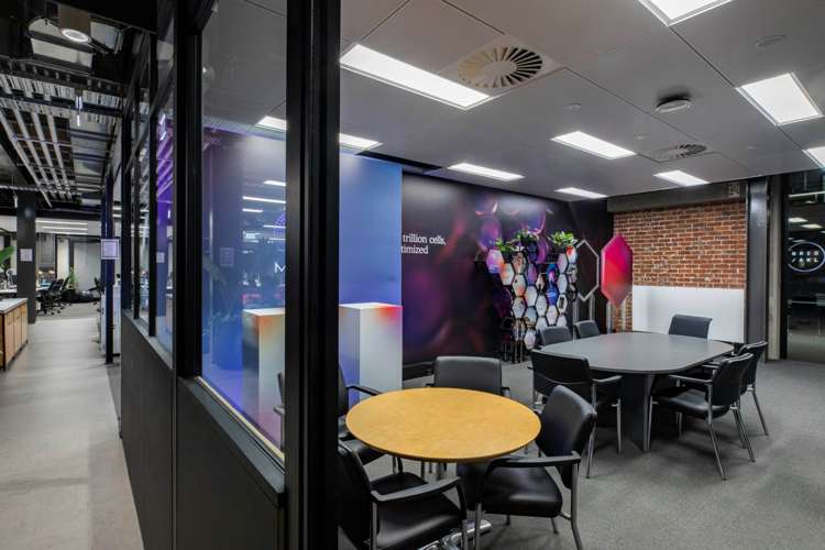 139 Pakenham Street City Centre_7