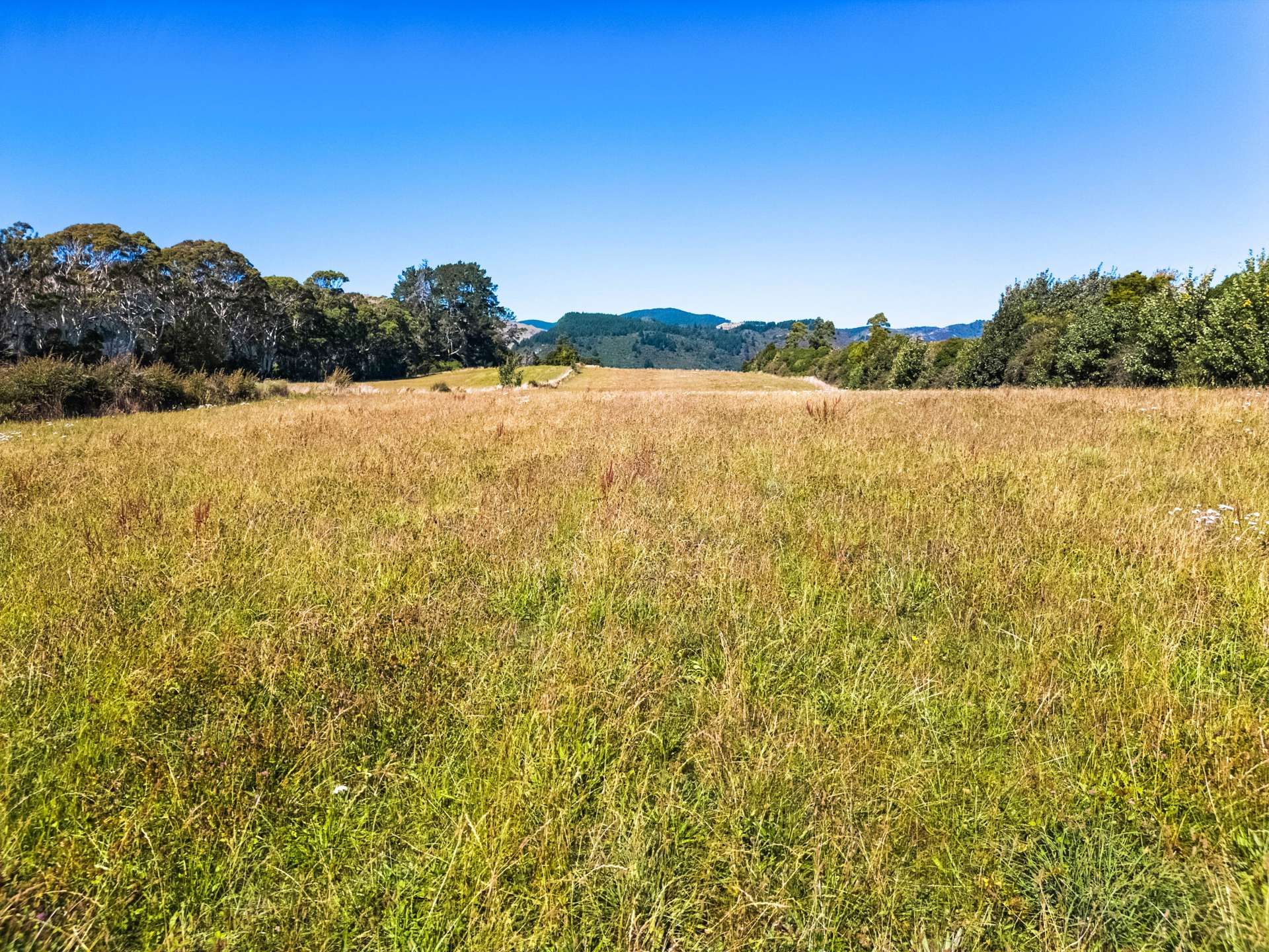 1918 Takaka Valley Highway, Takaka Golden Bay_0