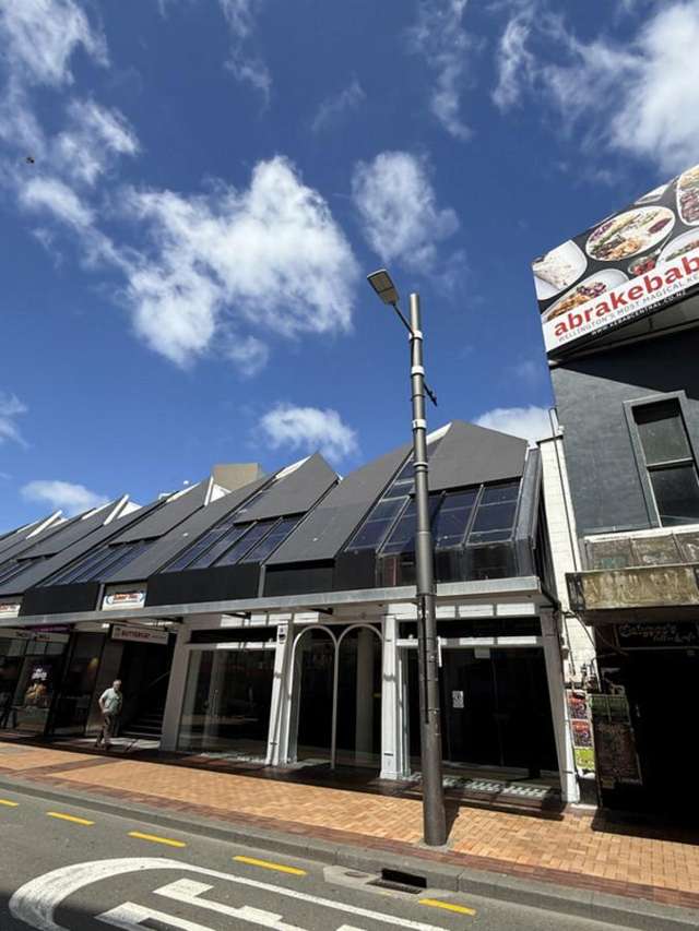 Ground/94 Manners Street Te Aro_2