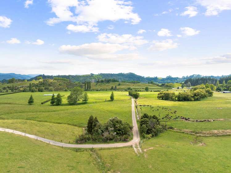 50 Franklin Road Waihi_9