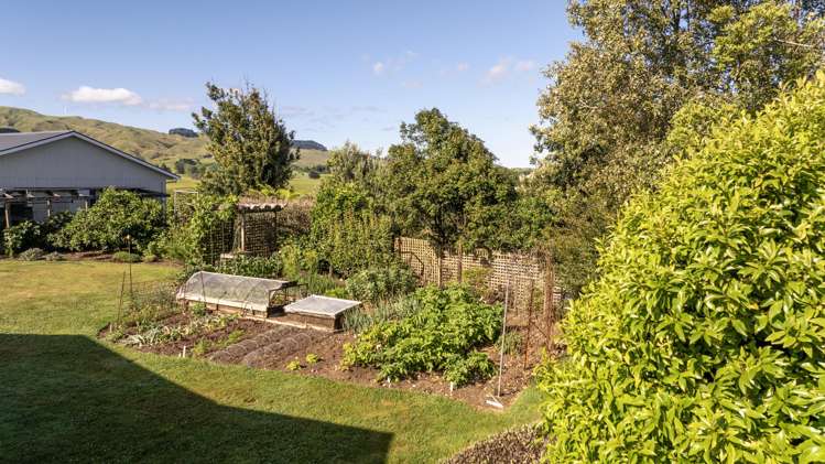 3257 State Highway 23 Raglan_5