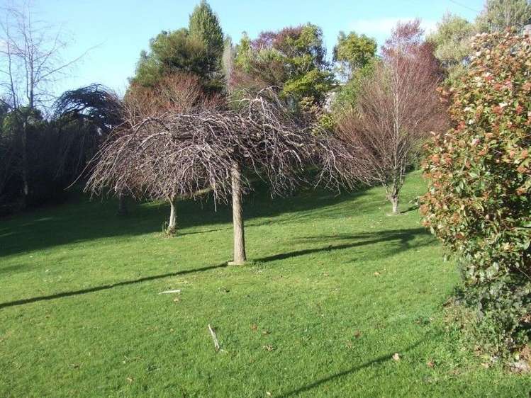 34 Ruru Road Taihape and Surrounds_17