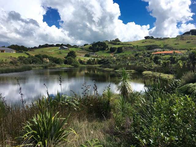 9 Moana Views Mangawhai_4