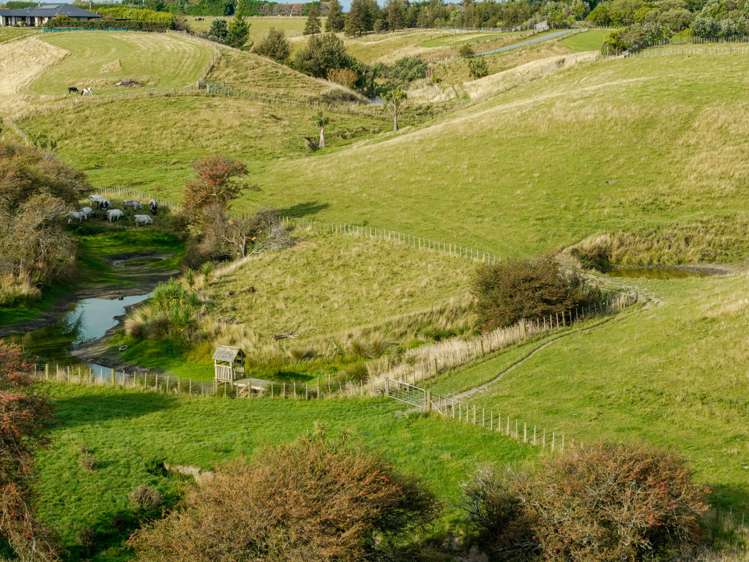 151 Mount Stewart Halcombe Road Sanson_55