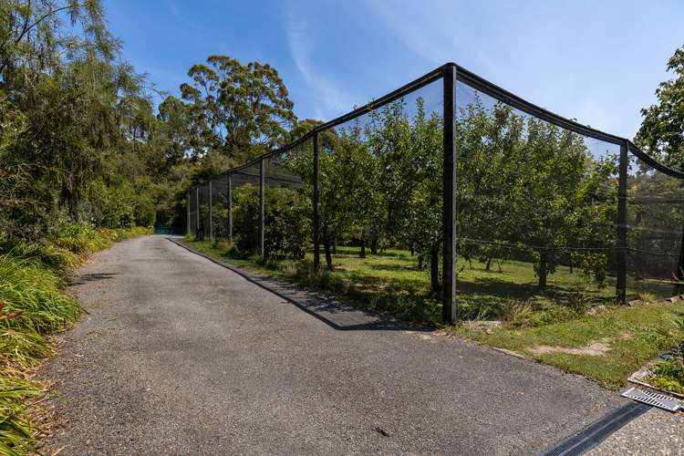 370 The Coastal Highway Redwood Valley_17