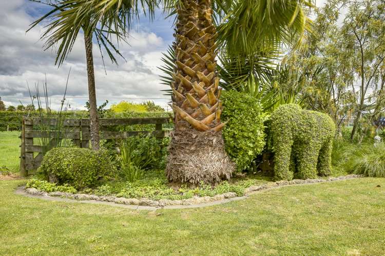 52 Napier Street Jervoistown_35