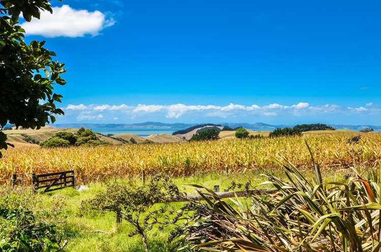 2806 South Head Road South Head_16