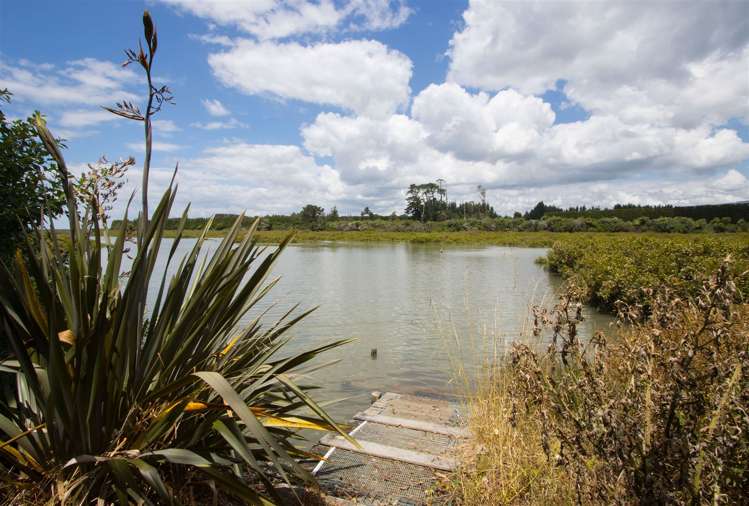 8 Bransley Grove Katikati_17