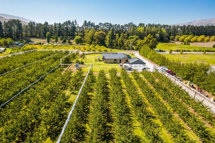 78 Pearson Road Cromwell_17