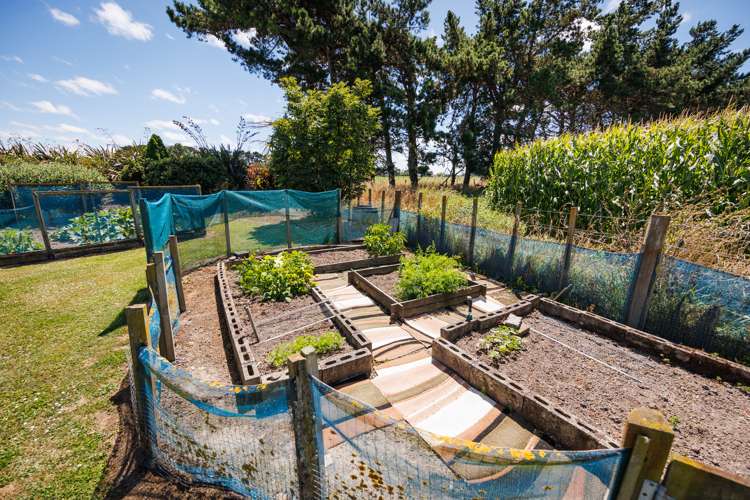 1078 Roberts Line Bunnythorpe_24