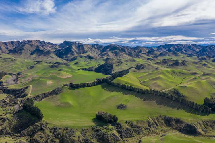 387 Eggleston Road Cheviot_0