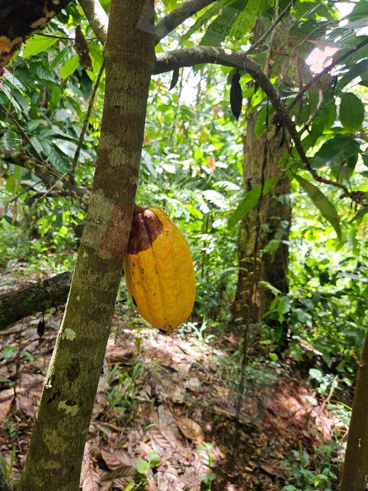 Address withheld Dreketi_2