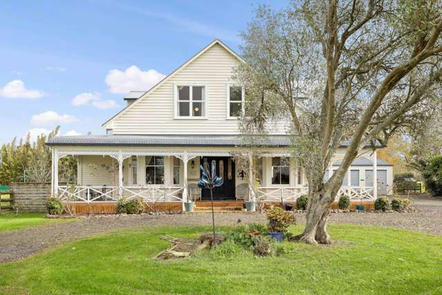 Where Dreams Take Root