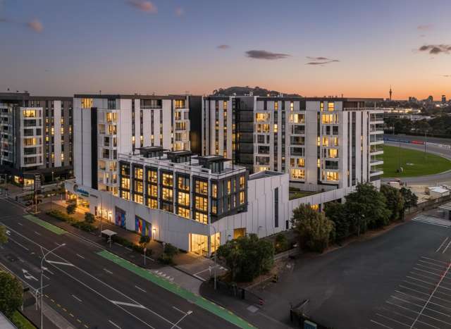 DGZ Luxury Apartment with private rooftop garden