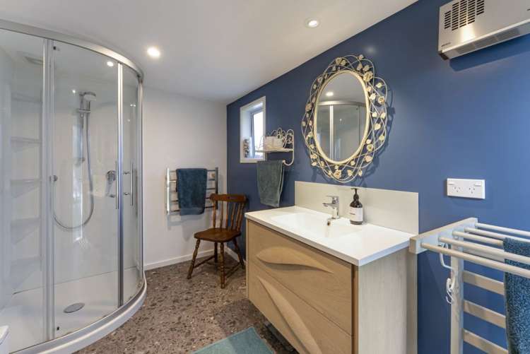 52 Green Street Tahunanui_11