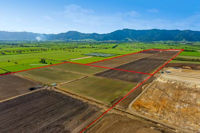 Prime Waikato Rural Land - 15 year Lease