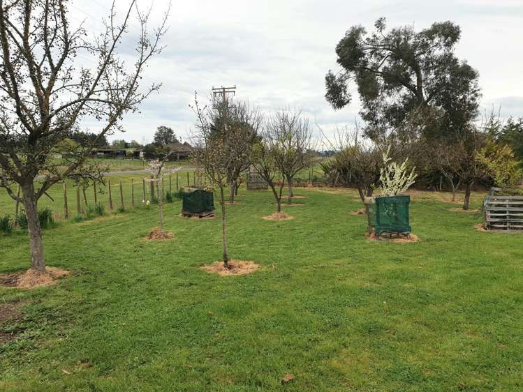 425 Te Kura Road Otane_14