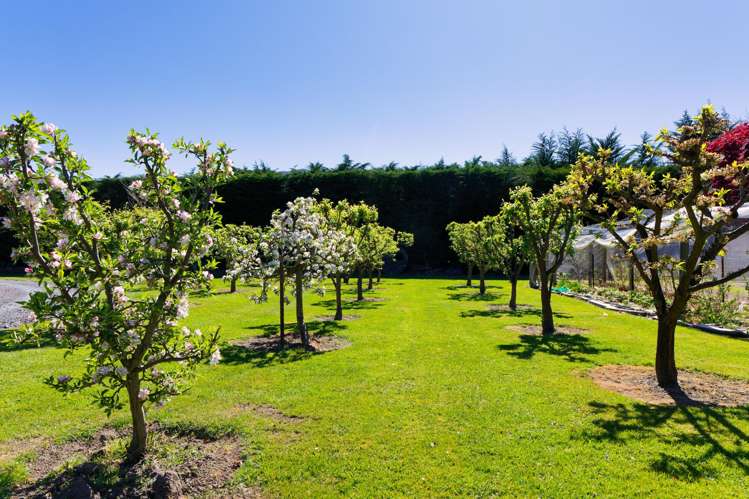 871 Inland Kaikoura Road Kaikoura_29