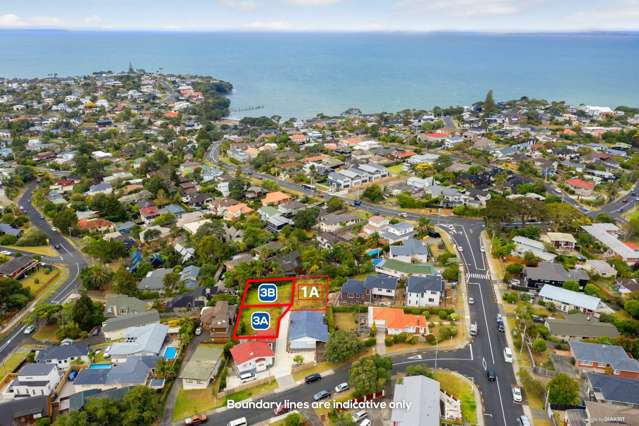 1a Clematis Avenue Murrays Bay_1