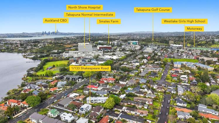1/133 Shakespeare Road Milford_25