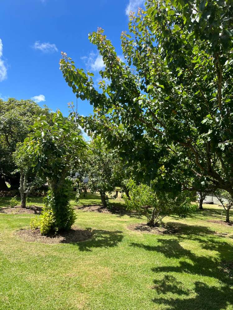 2408 Awhitu Road Awhitu_9