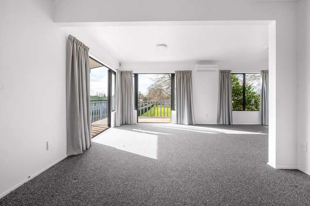 73A Pembroke Street Hamilton Lake_4