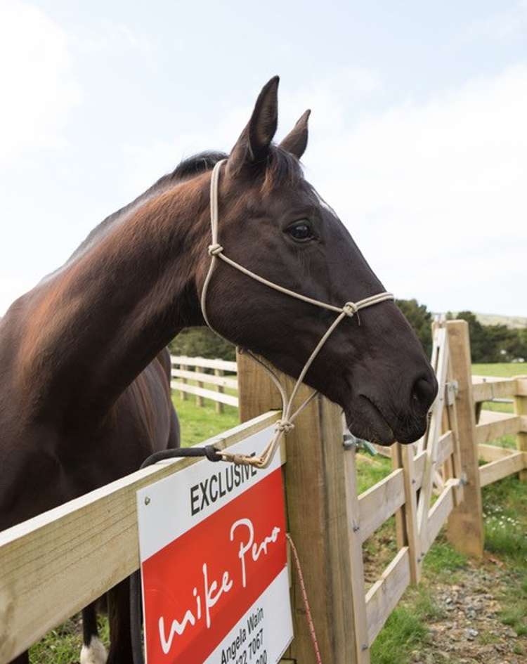 1149c Whangaripo Valley Road Whangaripo_12