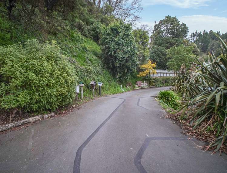 2/100 Cambria Street The Wood_4