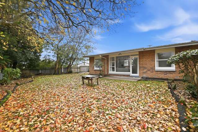 26A Tui Road Western Heights_2