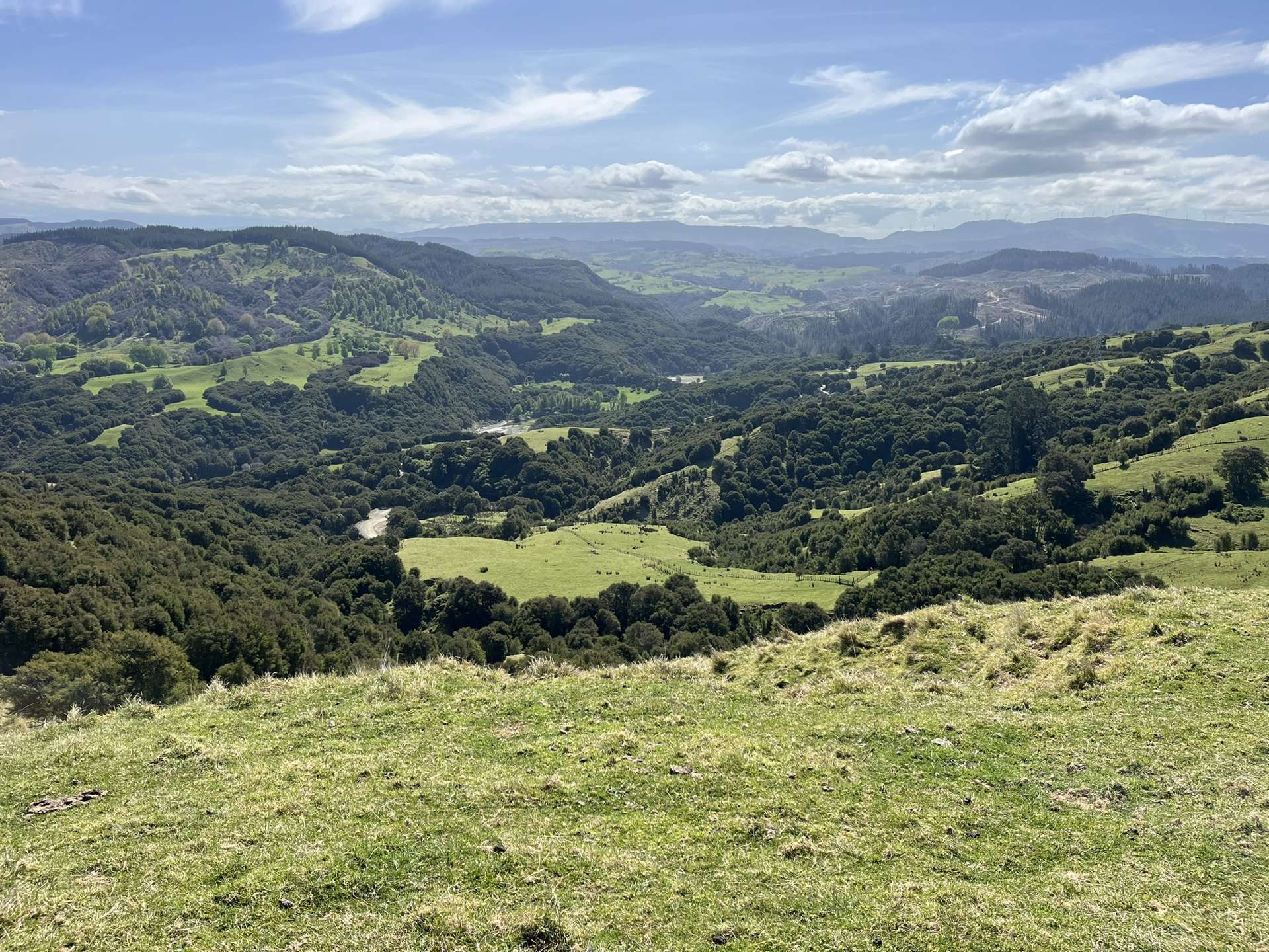 1050 Ellis Wallace Road Eskdale_0